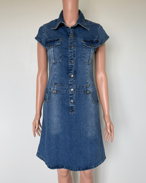 Vintage denim dress